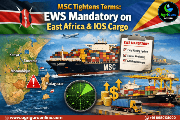 MSC Tightens Terms: EWS Mandatory on East Africa & IOS Cargo.