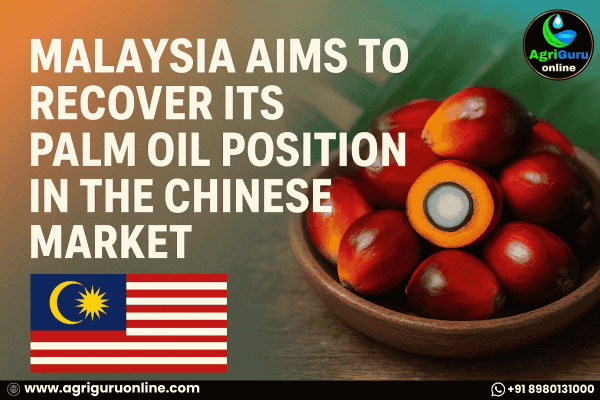 Malaysia Aims to Recover Its Palm Oil Position in the Chinese Market