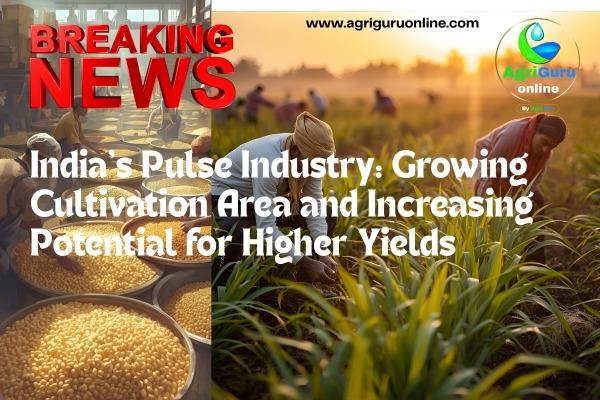 India’s Pulse Industry: Growing Cultivation Area and Increasing     Potential for Higher Yields