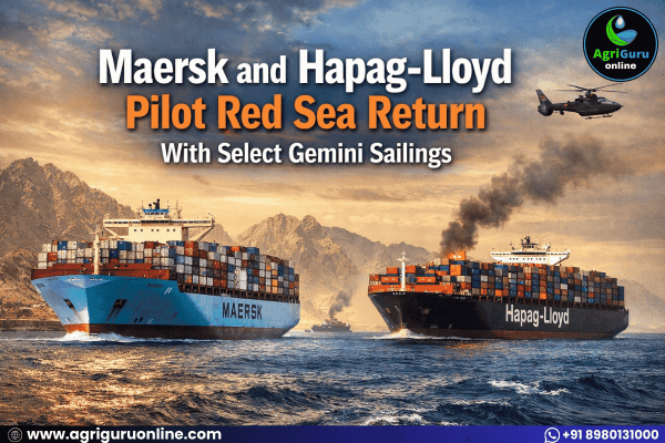 Maersk and Hapag-Lloyd Pilot Red Sea Return With Select Gemini Sailings