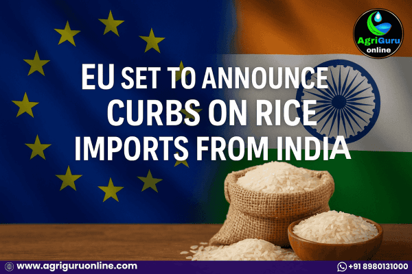 EU Set to Announce Curbs on Rice Imports from India