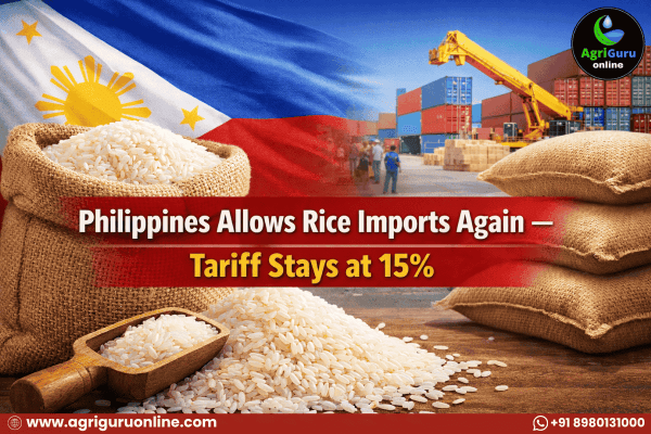 Philippines Allows Rice Imports Again, Tariff Stays at 15%
