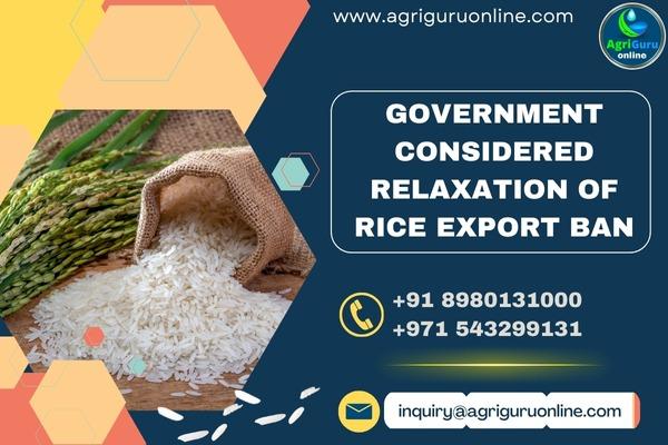 Government Considered Relaxation of Rice Export Ban