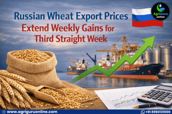 Russian Wheat Export Prices Extend Weekly Gains for Third Straight Week