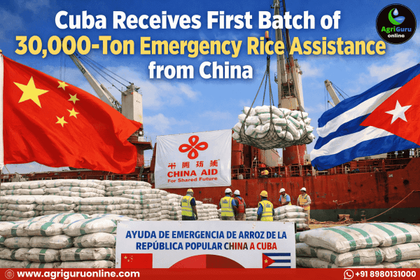 Cuba Receives First Batch of 30,000-Ton Emergency Rice Assistance from China