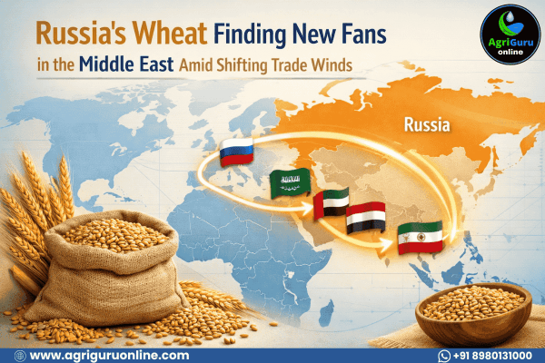 Russia's Wheat Finding New Fans in the Middle East Amid Shifting Trade Winds