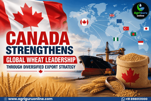 Canada Strengthens Global Wheat Leadership Through Diversified Export Strategy
