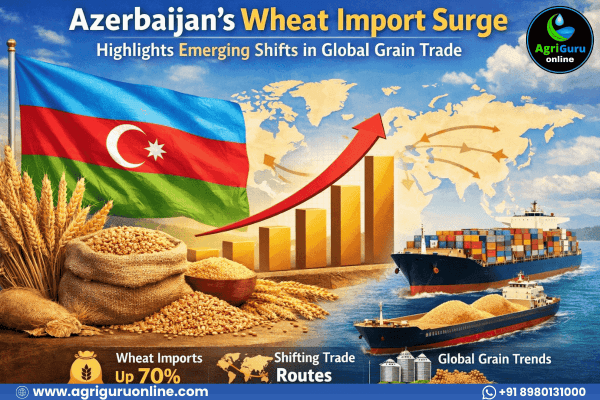Azerbaijan’s Wheat Import Surge Highlights Emerging Shifts in Global Grain Trade!!