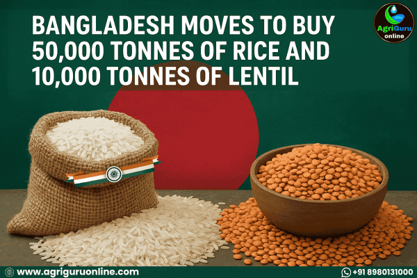 Bangladesh Moves to Buy 50,000 Tonnes of Rice and 10,000 Tonnes of Lentil