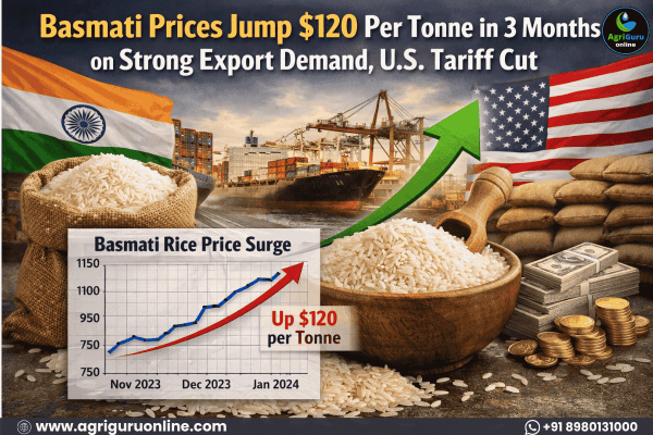 Basmati Prices Jump $120 Per Tonne in Three Months on Strong Export Demand, U.S. Tariff Cut