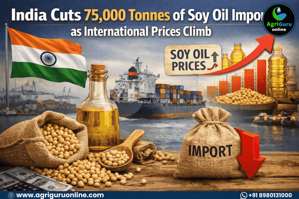 India Cuts 75,000 Tonnes of Soy Oil Imports as International Prices Climb