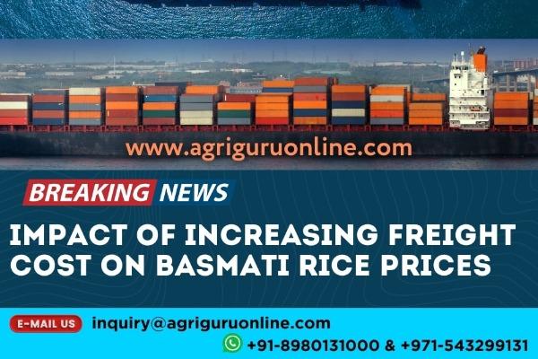 Impact Of Increasing Freight Cost On Basmati Rice Price