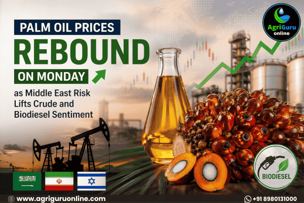 Palm Oil Prices Rebound on Monday as Middle East Risk Lifts Crude and Biodiesel Sentiment