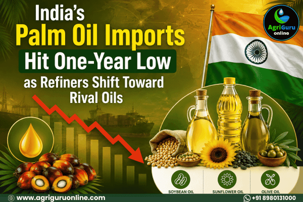 India’s Palm Oil Imports Hit One-Year Low as Refiners Shift Toward Rival Oils