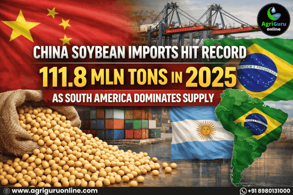 China Soybean Imports Hit Record 111.8 Mln Tons in 2025 as South America Dominates Supply