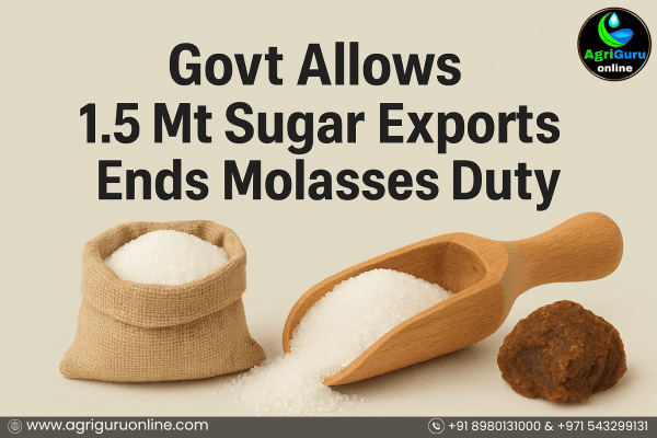 Govt Allows 1.5 Mt Sugar Exports, Ends Molasses Duty