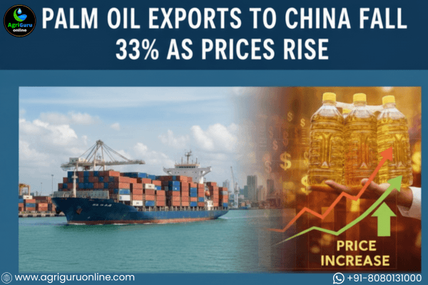 Palm Oil Exports to China Fall 33% as Prices Rise