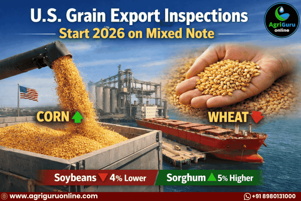 U.S. Grain Export Inspections Start 2026 on Mixed Note