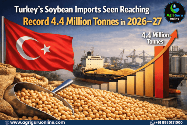 Turkey’s Soybean Imports Seen Reaching Record 4.4 Million Tonnes in 2026–27