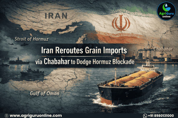Iran Reroutes Grain Imports via Chabahar to Dodge Hormuz Blockade