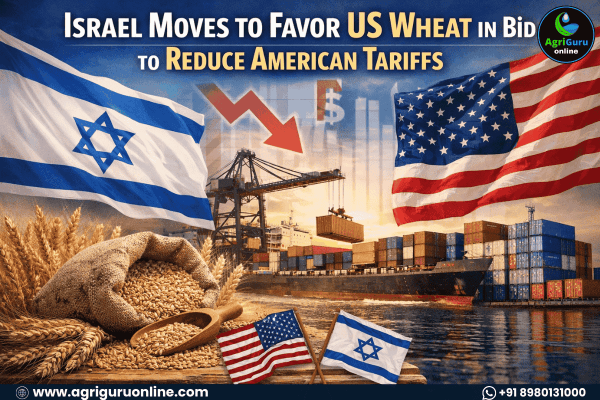 Israel Moves to Favor US Wheat in Bid to Reduce American Tariffs