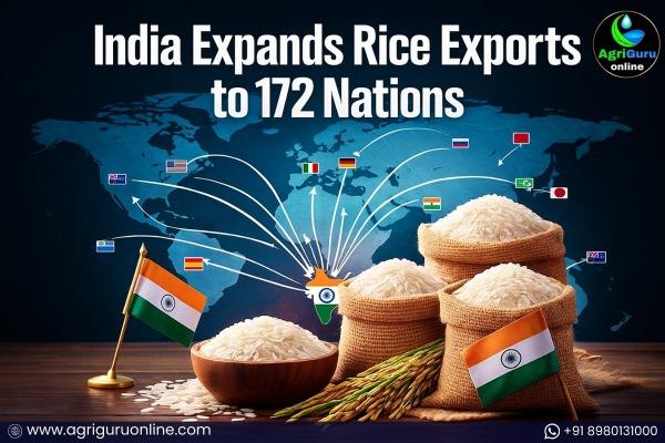 India Expands Rice Exports to 172 Nations