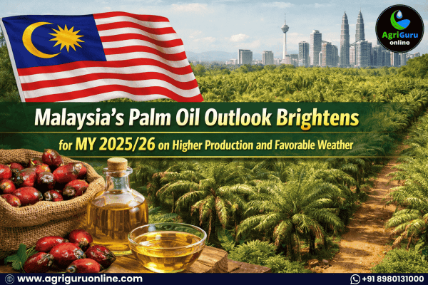 Malaysia’s Palm Oil Outlook Brightens for MY 2025/26 on Higher Production and Favorable Weather