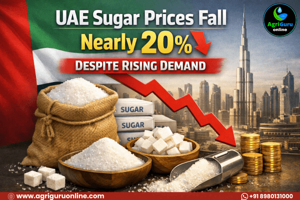 UAE Sugar Prices Fall Nearly 20% Despite Rising Demand