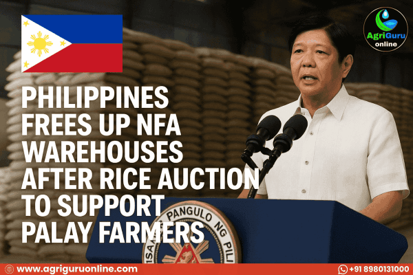 Philippines Frees Up NFA Warehouses After Rice Auction to Support Palay Farmers