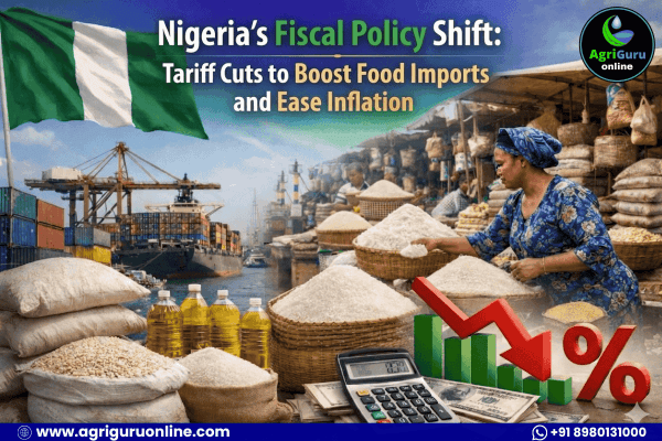 Nigeria's Fiscal Policy Shift: Tariff Cuts to Boost Food Imports and Ease Inflation
