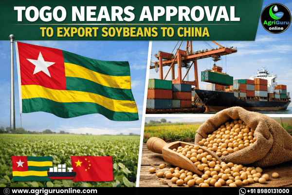 Togo Nears Approval to Export Soybeans to China