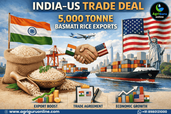 India–US Trade Deal Opens Fresh Window for 5000 Tonne Basmati Rice Exports