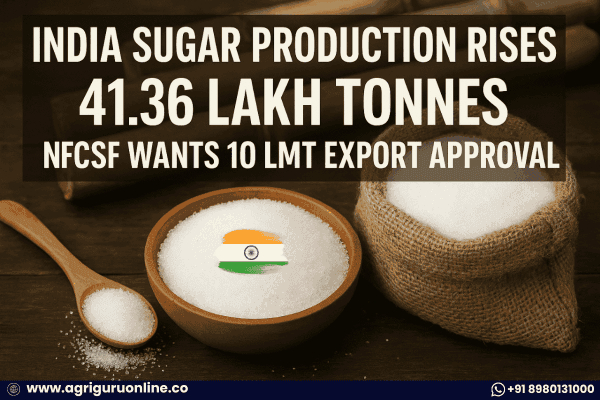 India Sugar Production Rises 41.36 Lakh Tonnes ; NFCSF Wants 10 LMT Export Approval