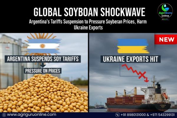 Argentina’s Tariff Suspension to Pressure Soybean Prices, Hit Ukraine Exports