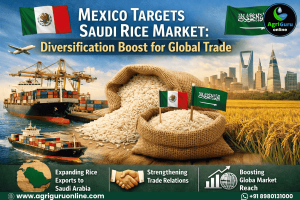 Mexico Targets Saudi Rice Market: Diversification Boost for Global Trade
