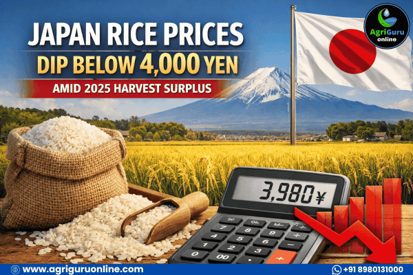 Japan Rice Prices Dip Below 4,000 Yen Amid 2025 Harvest Surplus