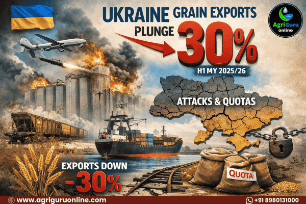 Ukraine Grain Exports Plunge 30% in H1 MY 2025/26 Amid Attacks and Quotas