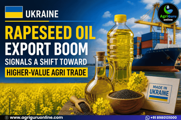 Ukraine’s Rapeseed Oil Export Boom Signals a Shift Toward Higher-Value Agri Trade