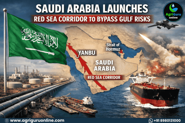 Saudi Arabia Launches Red Sea Corridor to Bypass Gulf Risks