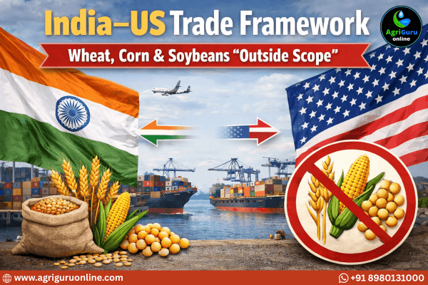 India–US Trade Framework Keeps Wheat, Corn, and Soybeans Outside Scope