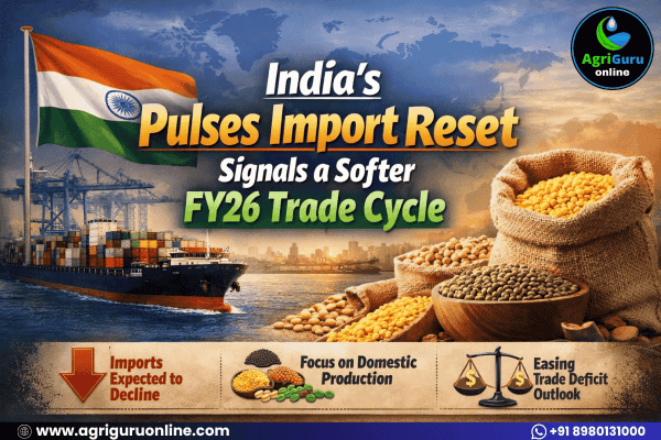 India’s Pulses Import Reset Signals a Softer FY26 Trade Cycle