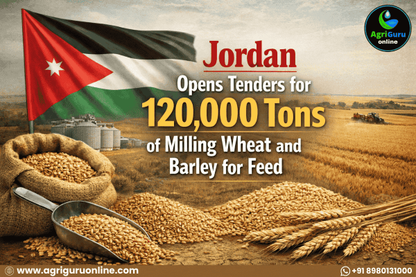 Jordan Opens Tenders for 120,000 Tons of Milling Wheat and Barley for Feed