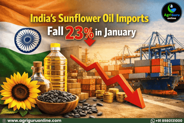 India’s Sunflower Oil Imports Fall 23% in January