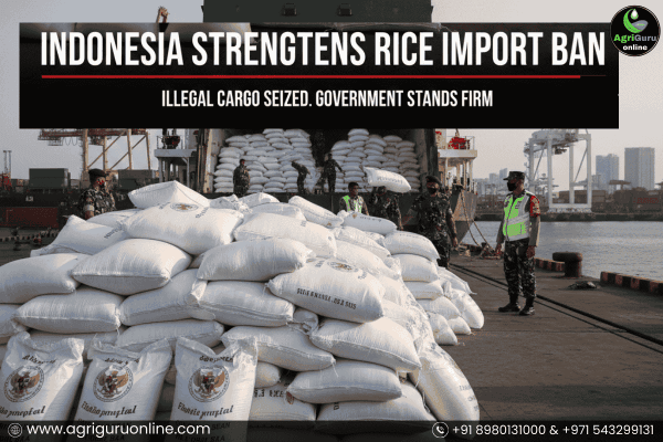 Indonesia Strengthens Stance on Rice Import Ban After Illegal Cargo Seized
