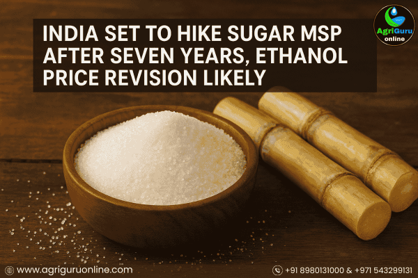India Set to Hike Sugar MSP After Seven Years, Ethanol Price Revision Likely