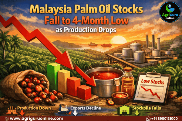 Malaysia Palm Oil Stocks Fall to 4-Month Low as Production Drops
