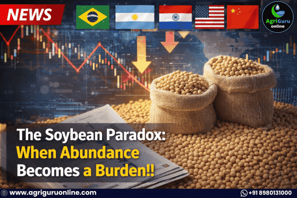 The Soybean Paradox: When Abundance Becomes a Burden!!