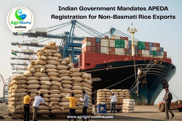 Indian Government Mandates APEDA Registration For Non-Basmati Rice Exports.