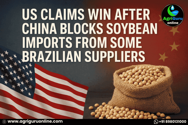 US Claims win After China Blocks Soybean Imports from Some Brazilian Suppliers
