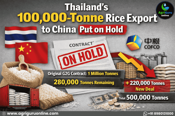 Thailand’s 100,000-Tonne Rice Export to China Put on Hold